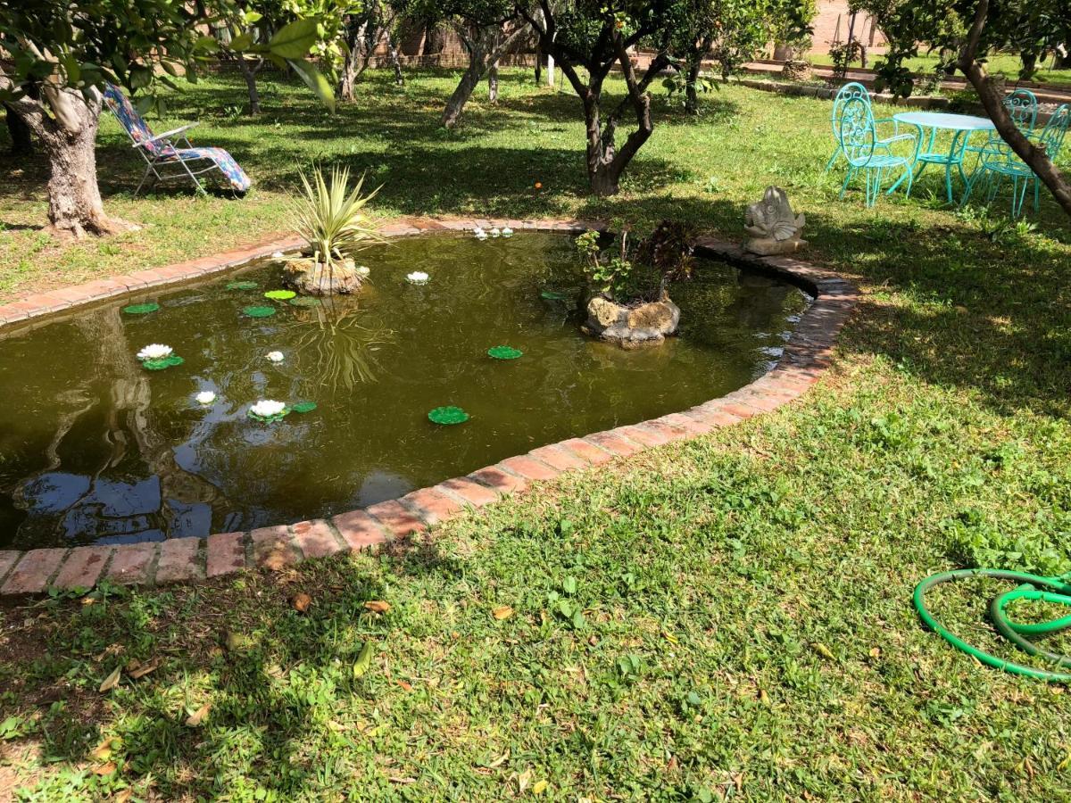 La Casita Del Cactus - Casa De Campo Con Piscina Алькала-де-Гуадаїра Екстер'єр фото